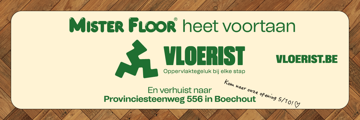 mister floor